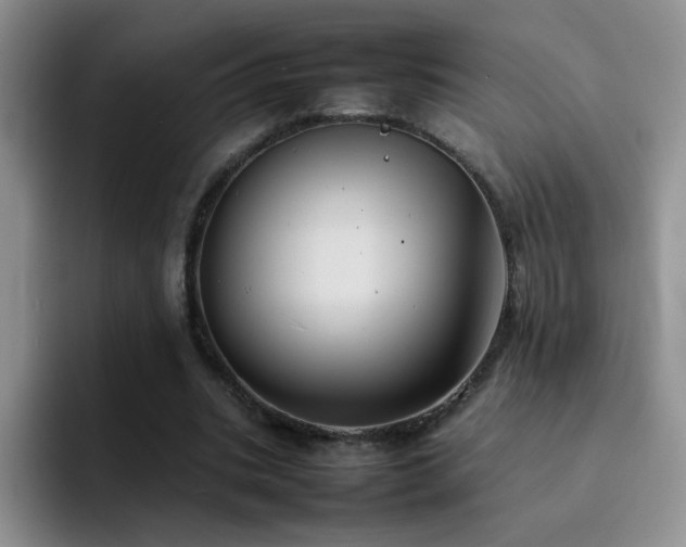 X0000092220535200709141046