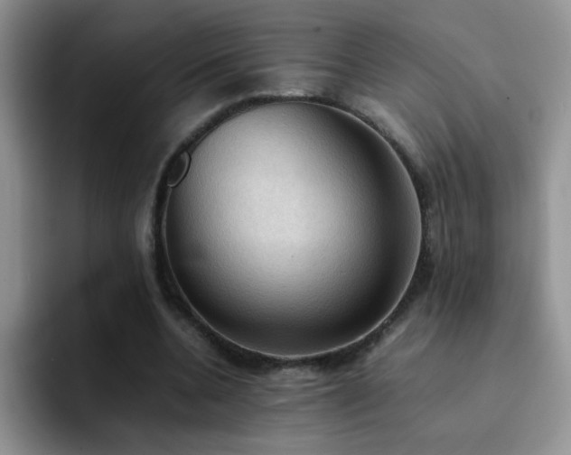X0000092220536200709141046