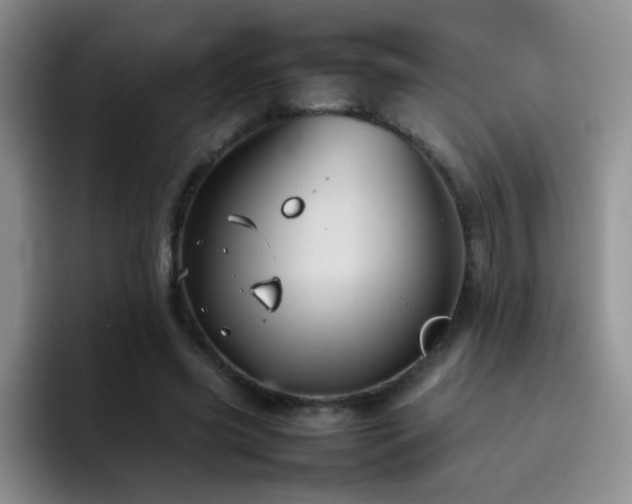 X0000092220541200709141046