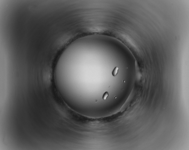 X0000092220544200709141046