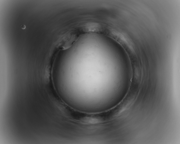X0000092220545200709141046