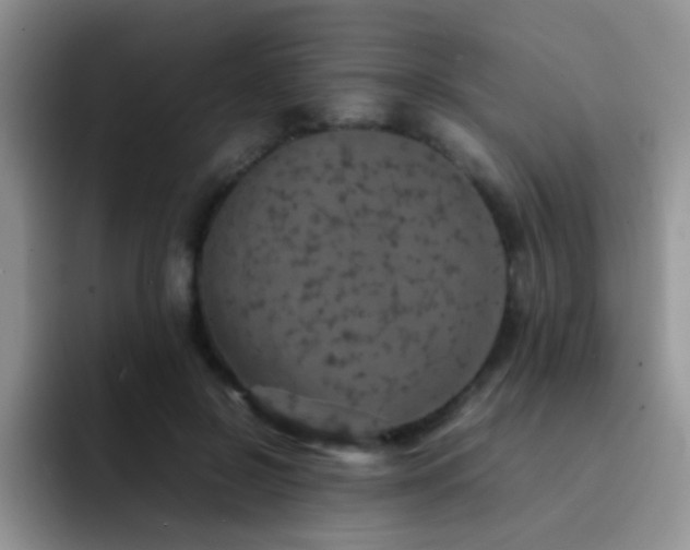 X0000092220550200709141046