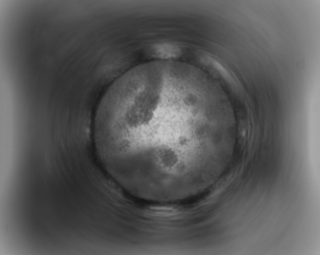X0000092220553200709141046