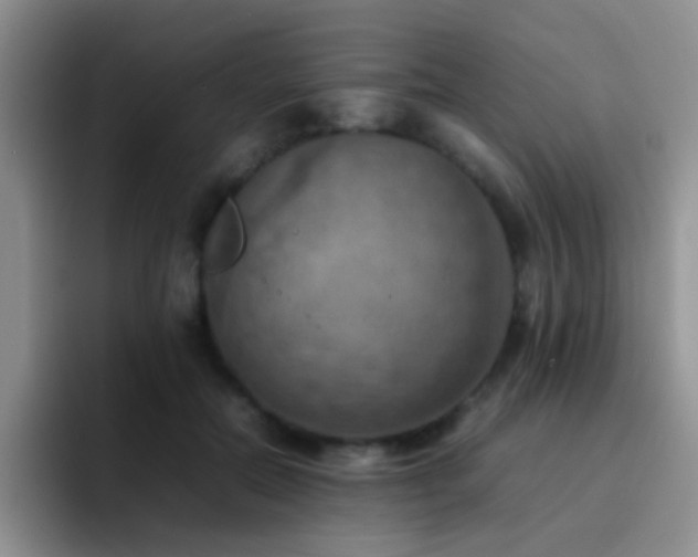 X0000092220554200709141046