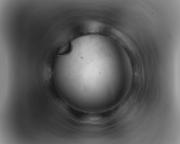 X0000092220555200709141046