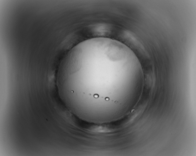 X0000092220557200709141046