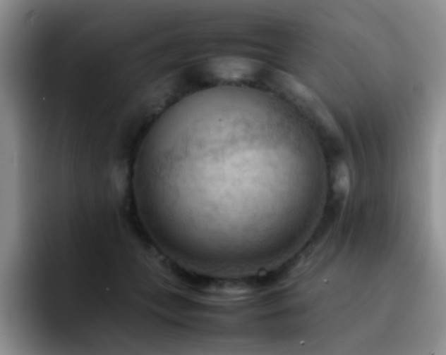 X0000092220559200709141046