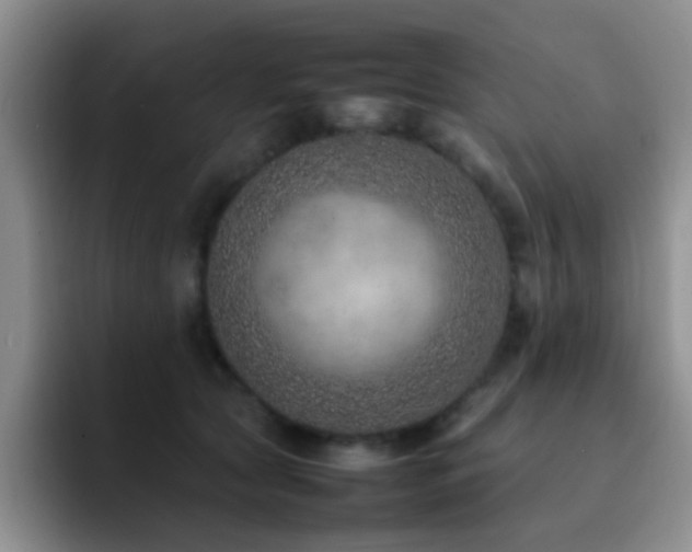 X0000092220561200709141047