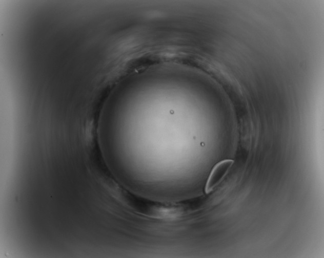 X0000092220563200709141047