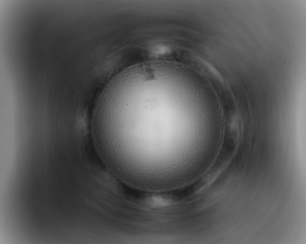 X0000092220565200709141047
