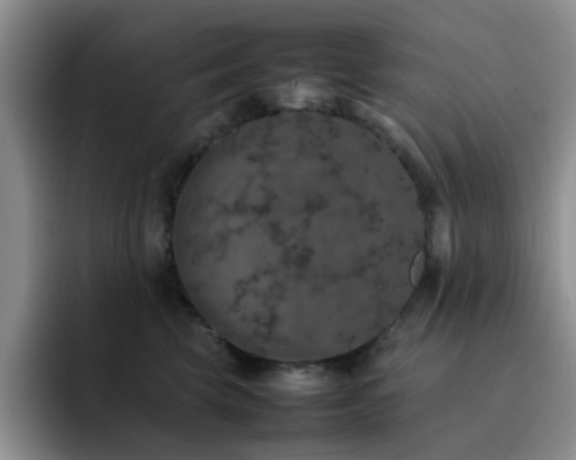 X0000092220569200709141047