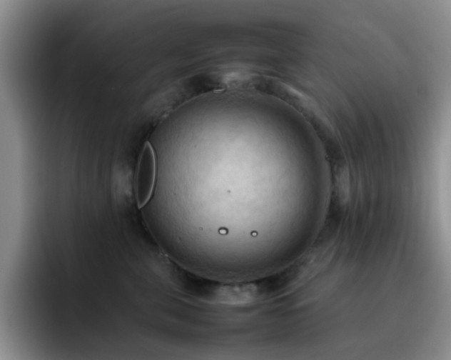 X0000092220571200709141047