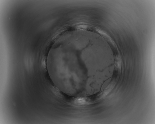 X0000092220573200709141047