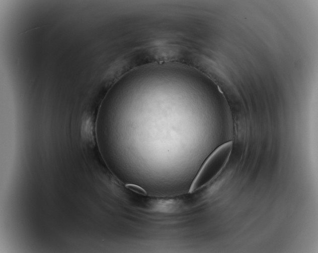 X0000092220575200709141047