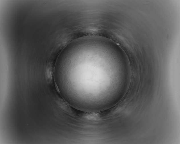 X0000092220576200709141047
