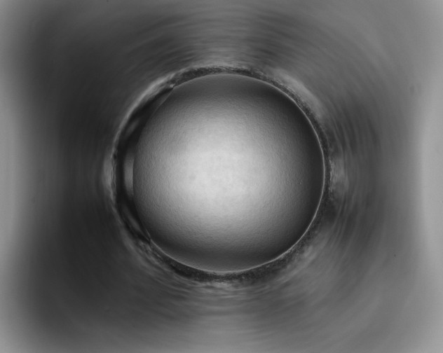 X0000092220580200709141046