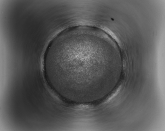 X0000092220581200709141046