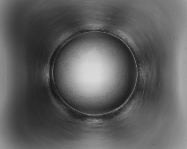 X0000092220582200709141046