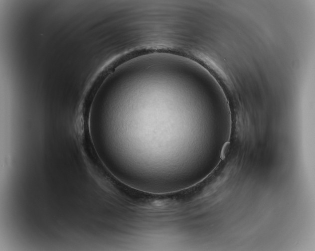 X0000092220584200709141046
