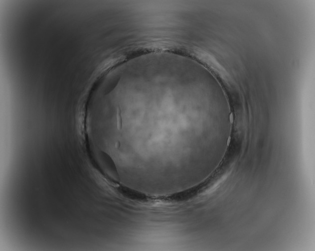 X0000092220585200709141046