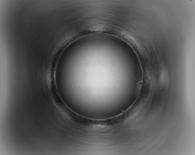 X0000092220586200709141046