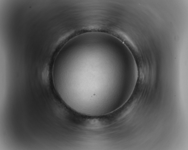 X0000092220588200709141046