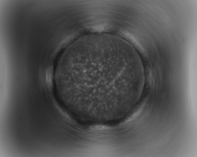 X0000092220590200709141046