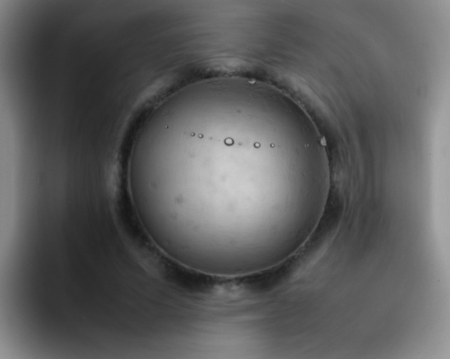 X0000092220591200709141046