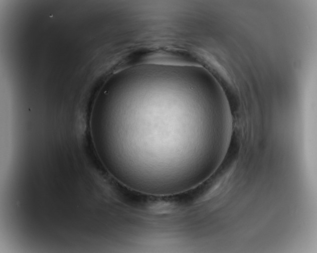 X0000092220593200709141046