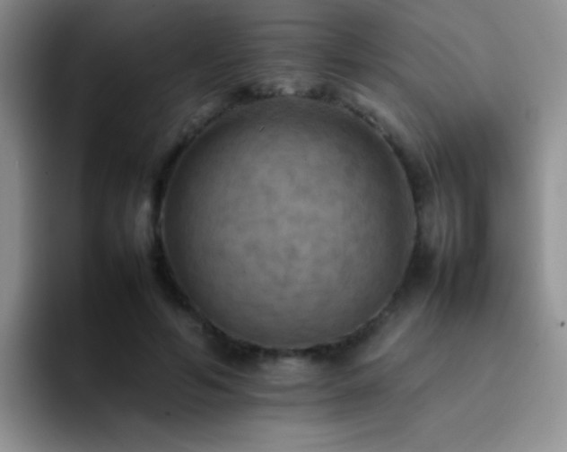X0000092220594200709141046