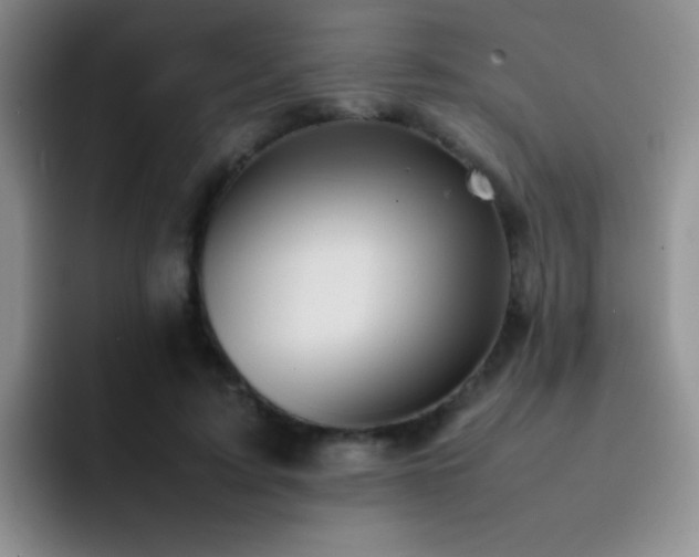 X0000092220595200709141046