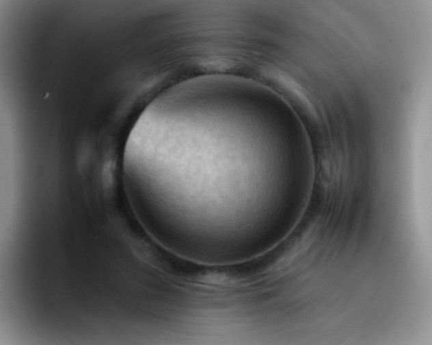 X0000092220596200709141046