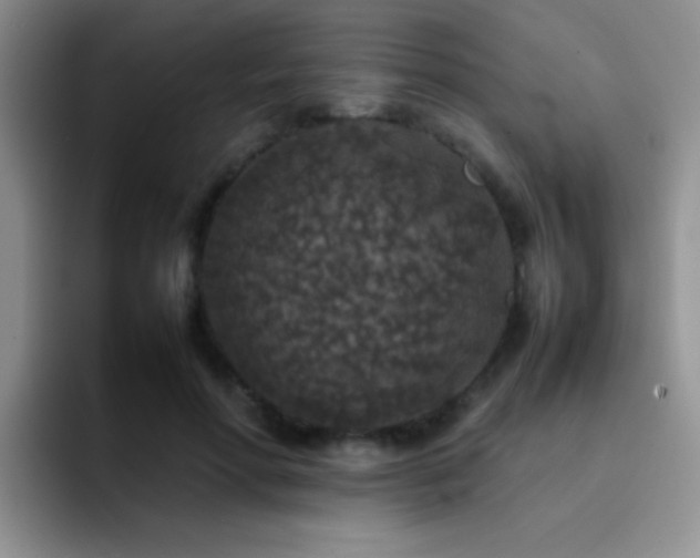 X0000092220598200709141046