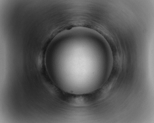 X0000092220600200709141046