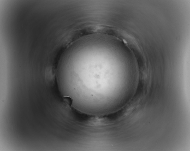 X0000092220607200709141046