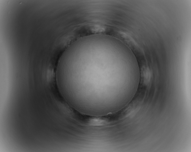 X0000092220614200709141046