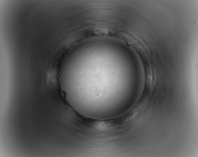 X0000092220616200709141046