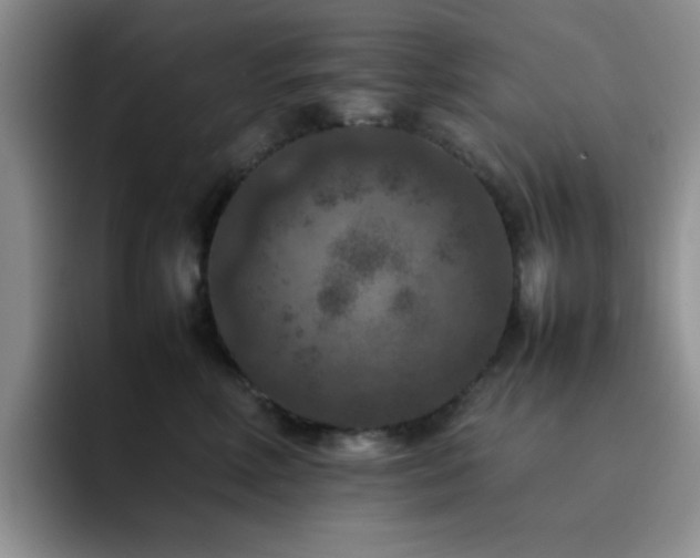 X0000092220618200709141046