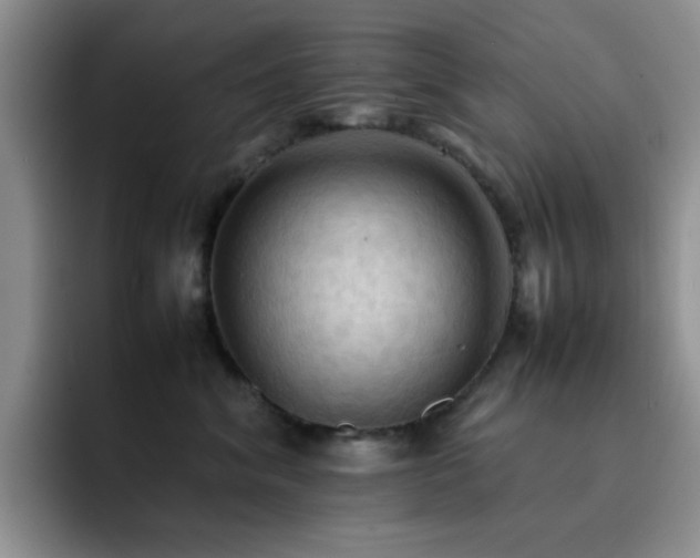 X0000092220620200709141046