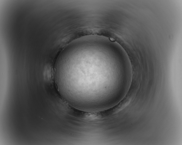 X0000092220624200709141046