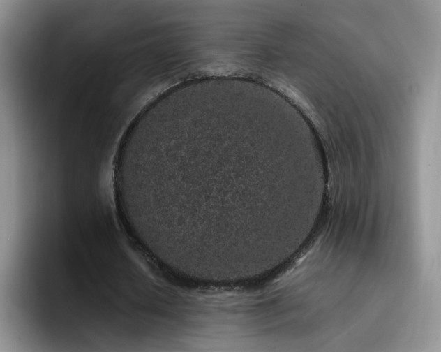 X0000092220626200709141045