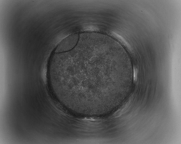 X0000092220627200709141045