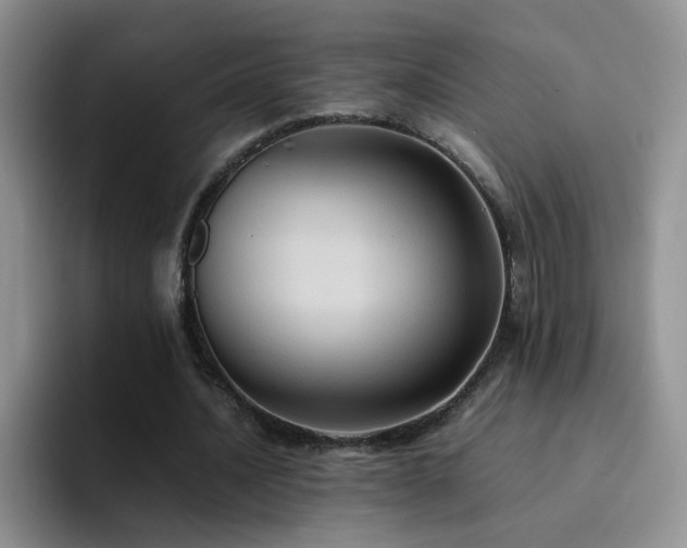 X0000092220628200709141045