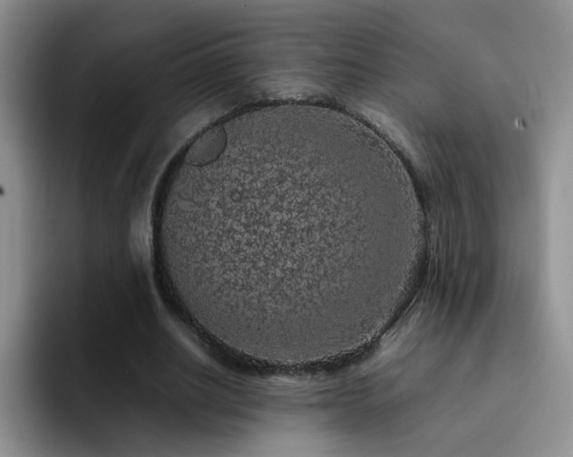 X0000092220630200709141045