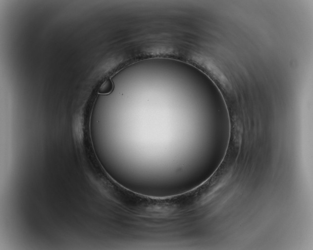 X0000092220631200709141045