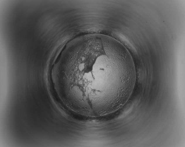 X0000092220634200709141045