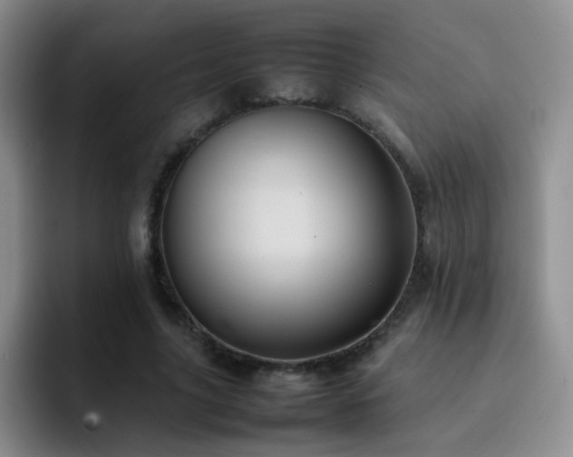 X0000092220635200709141045