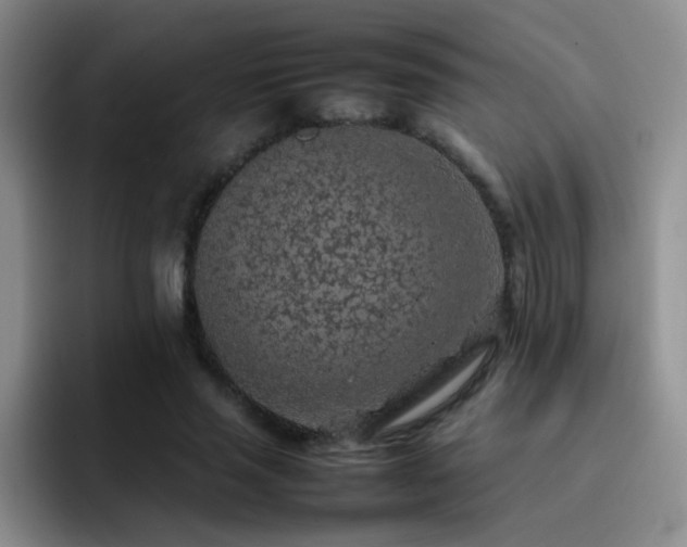 X0000092220637200709141045