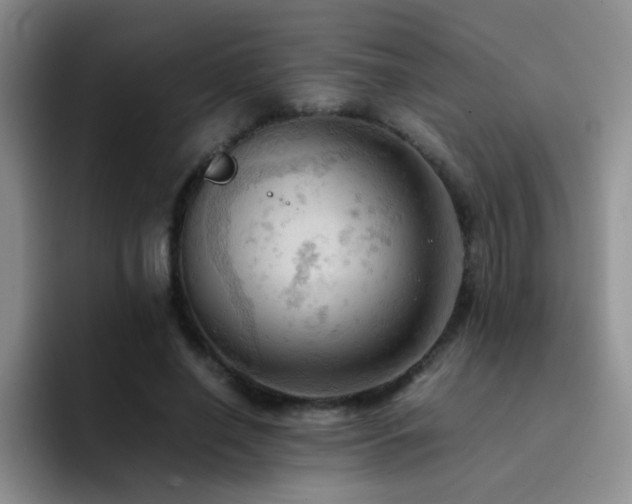 X0000092220638200709141045