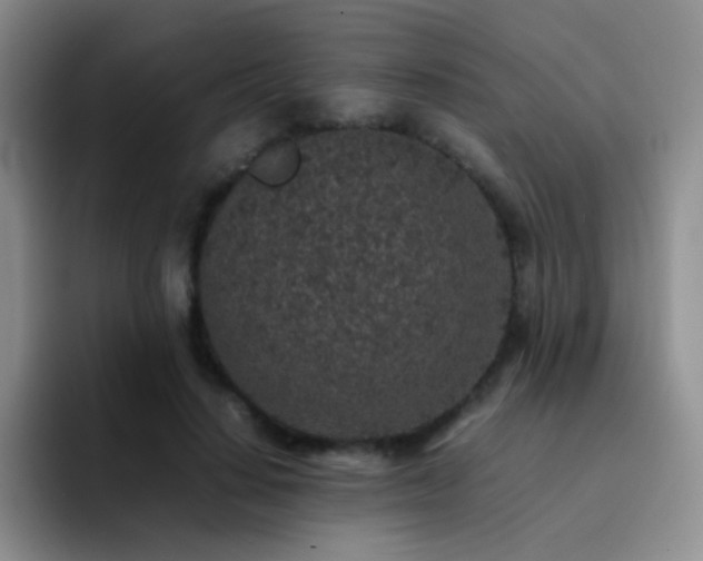X0000092220644200709141045